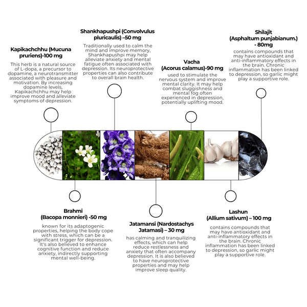 डेप-निल कैप्सूल | वीगन कैप्सूल | अवसादरोधी
