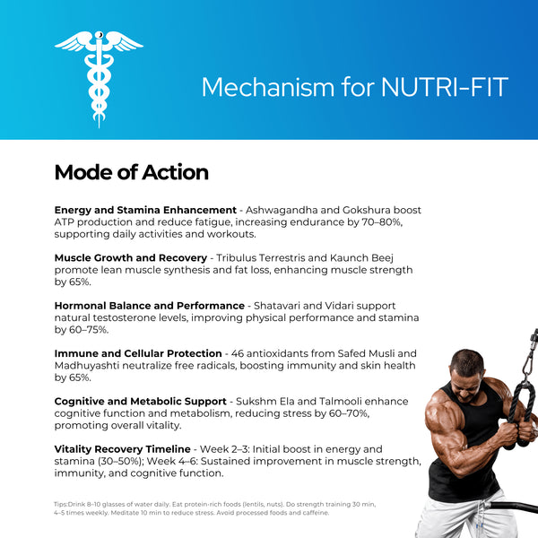 न्यूट्री-फिट पाउडर | 100 ग्राम | एनर्जाइज़र | स्फूर्ति | मांसपेशियों को बढ़ाने वाला | कायाकल्प | 100 ग्राम