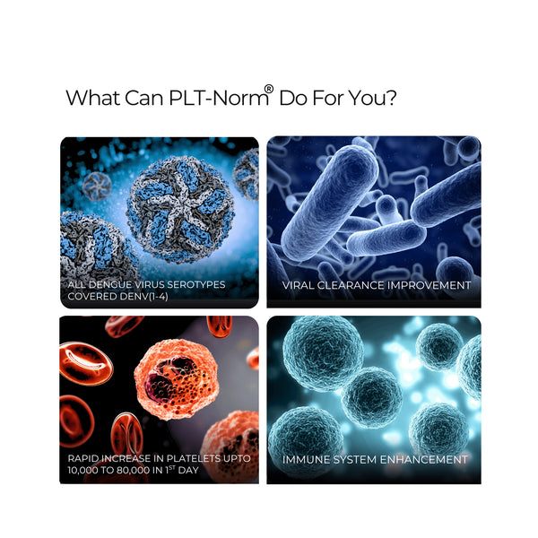पीएलटी नॉर्म डेंगू कैप्सूल - प्लेटलेट बढ़ाने के लिए सर्वश्रेष्ठ आयुर्वेदिक दवा, ट्रांसफ्यूजन की आवश्यकता नहीं