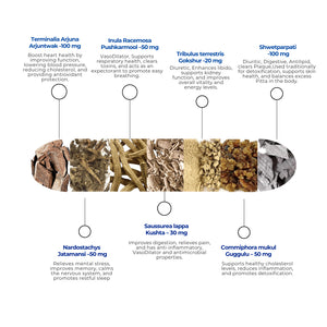 HT- नॉर्म कैप्सूल | वीगन कैप्सूल | रक्तचाप | कोलेस्ट्रॉल