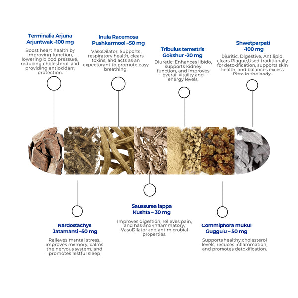 HT- नॉर्म कैप्सूल | वीगन कैप्सूल | रक्तचाप | कोलेस्ट्रॉल