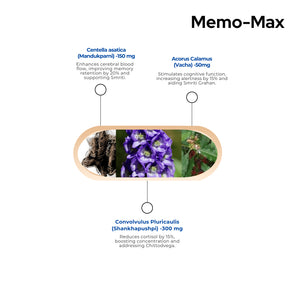Memo-Max Capsules | Vegan Capsules | Improve Concentration