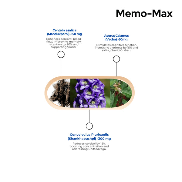 Memo-Max Capsules | Vegan Capsules | Improve Concentration
