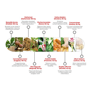 री-मूव कैप्सूल | शाकाहारी कैप्सूल | मांसपेशियों और कंकाल के दर्द से राहत