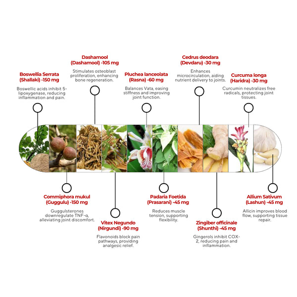 री-मूव कैप्सूल | शाकाहारी कैप्सूल | मांसपेशियों और कंकाल के दर्द से राहत