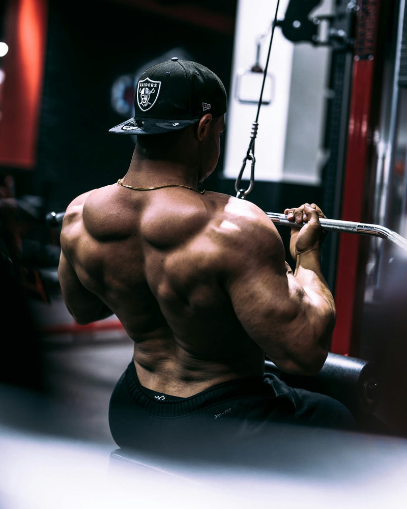 Confused on Supplement Use? Master Nutri-Fit Powder for Rapid Energy & Muscle Boosts