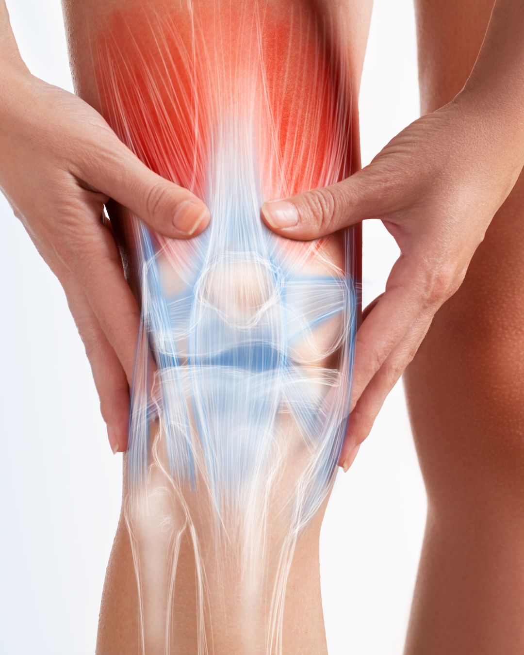 Shallaki and Guggul for Knee and Joint Pain: Natural Relief for Stiffness, Swelling, and Mobility