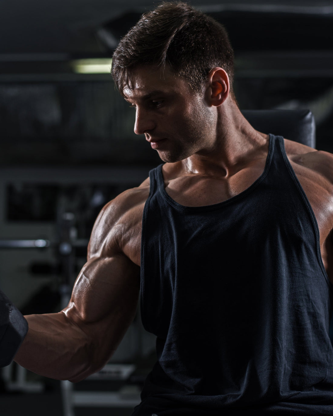 Weight Gain Powder for Men & Women – Nutri-Fit Ayurvedic Muscle Gainer & Energy Booster