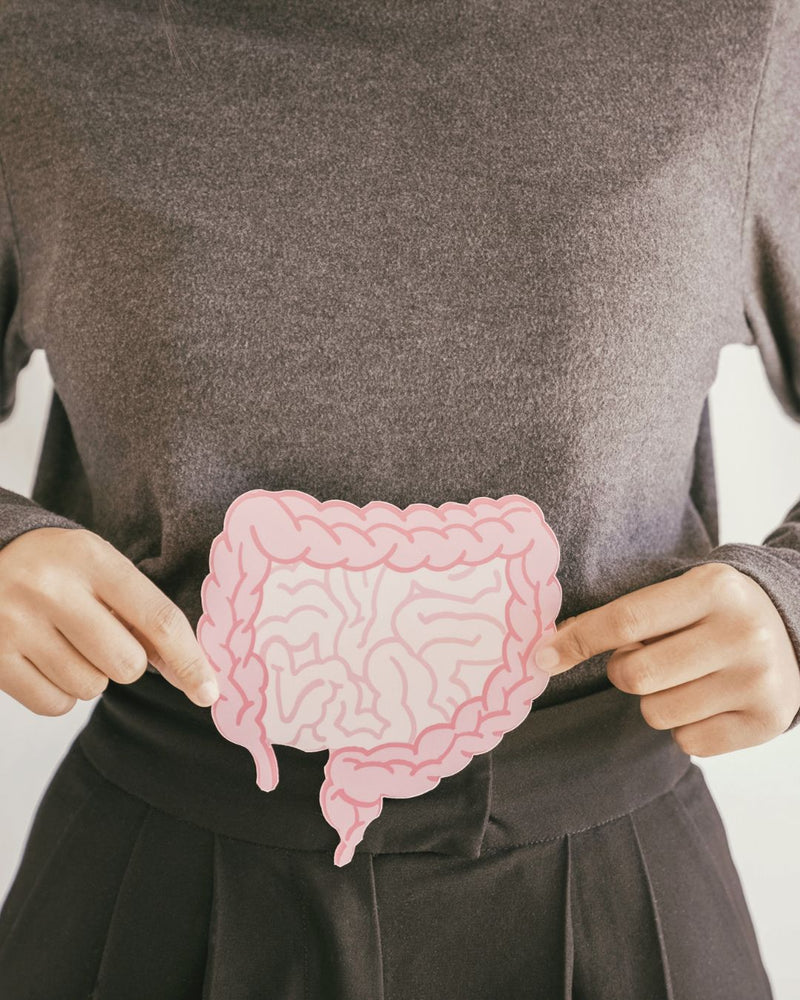 Ayurvedic Gut Health Reset: Daily Habits, Herbs, and Foods for Constipation, Acidity, Bloating