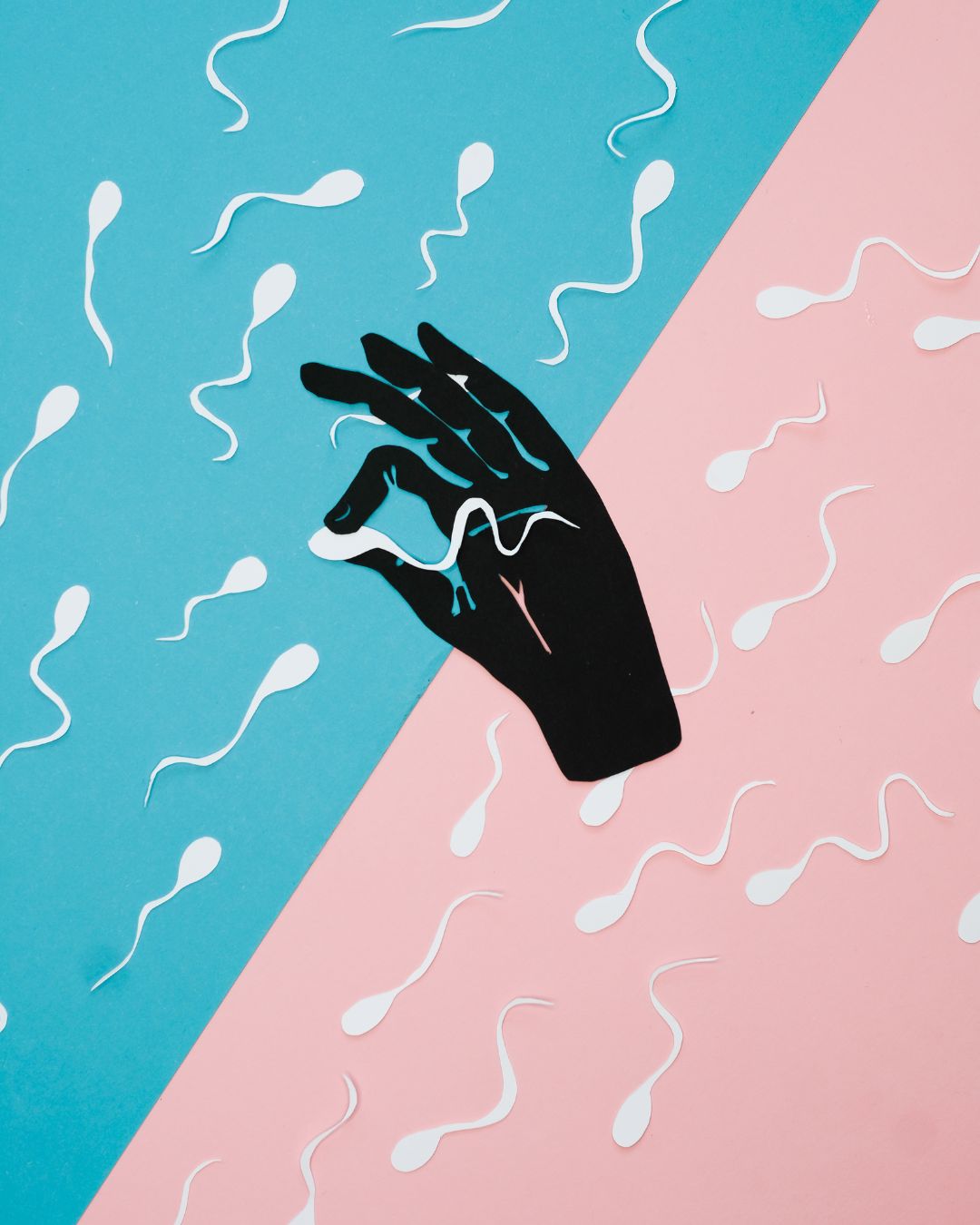 The 90‑Day Fertility Reset: Increase Sperm Count, Motility, and Testosterone Naturally