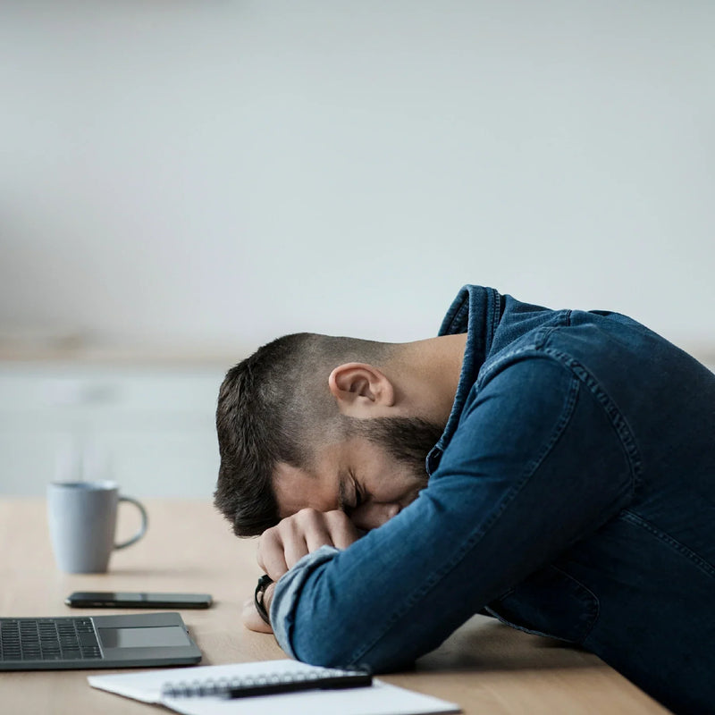 Improve Concentration & Memory – Memo Max Vegan Capsules for Sharp Mind & Focus