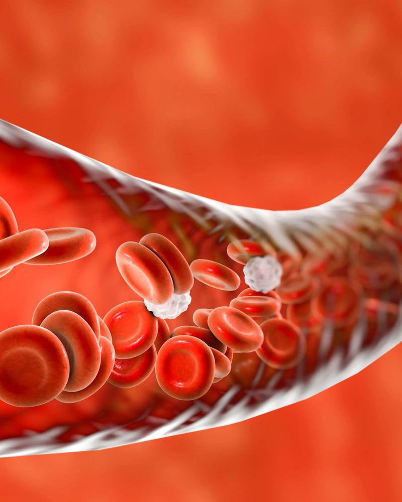 Managing ITP Naturally: A Guide to Ayurvedic Bone Marrow Support | Marrow-Cure