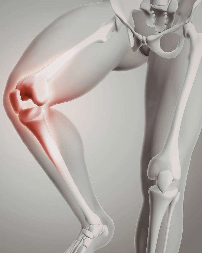 Bone Marrow Detoxification: The Secret to Peak Immunity | Marrow-Cure