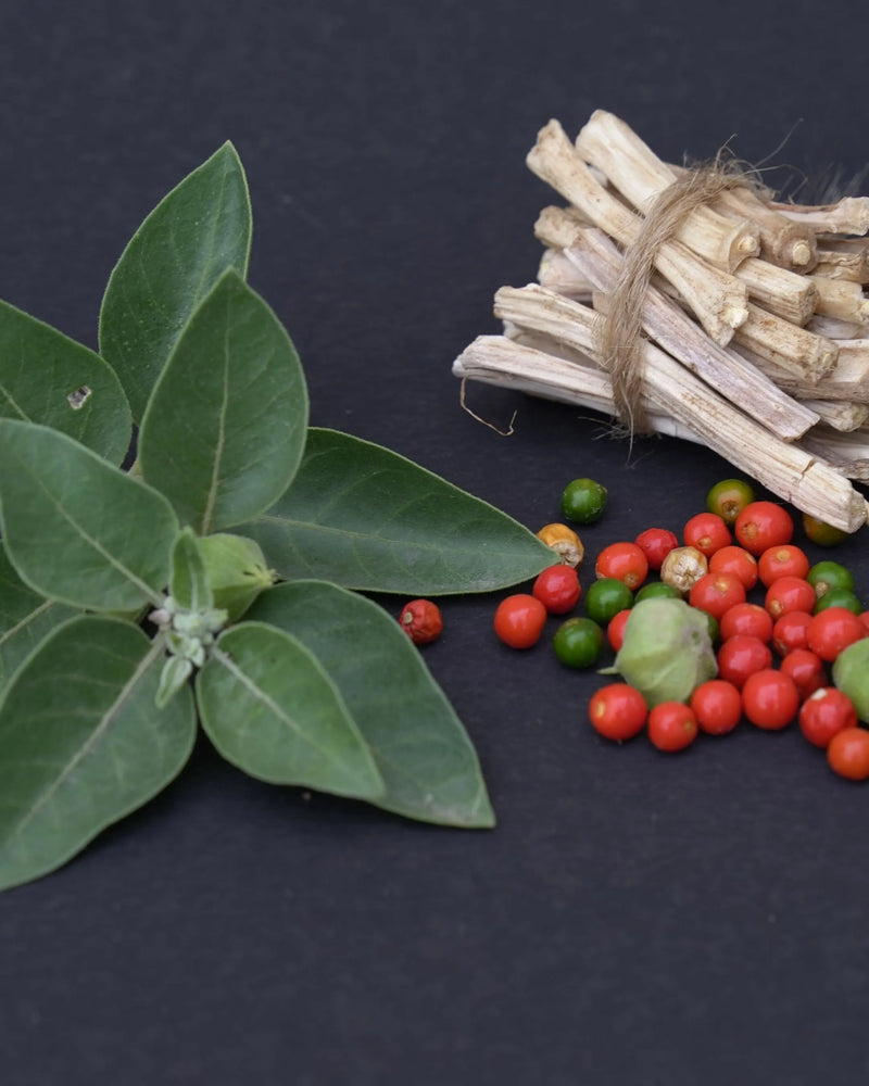 Benefits of Kaunch Beej and Ashwagandha for Male Hormonal Balance | MOTILIX