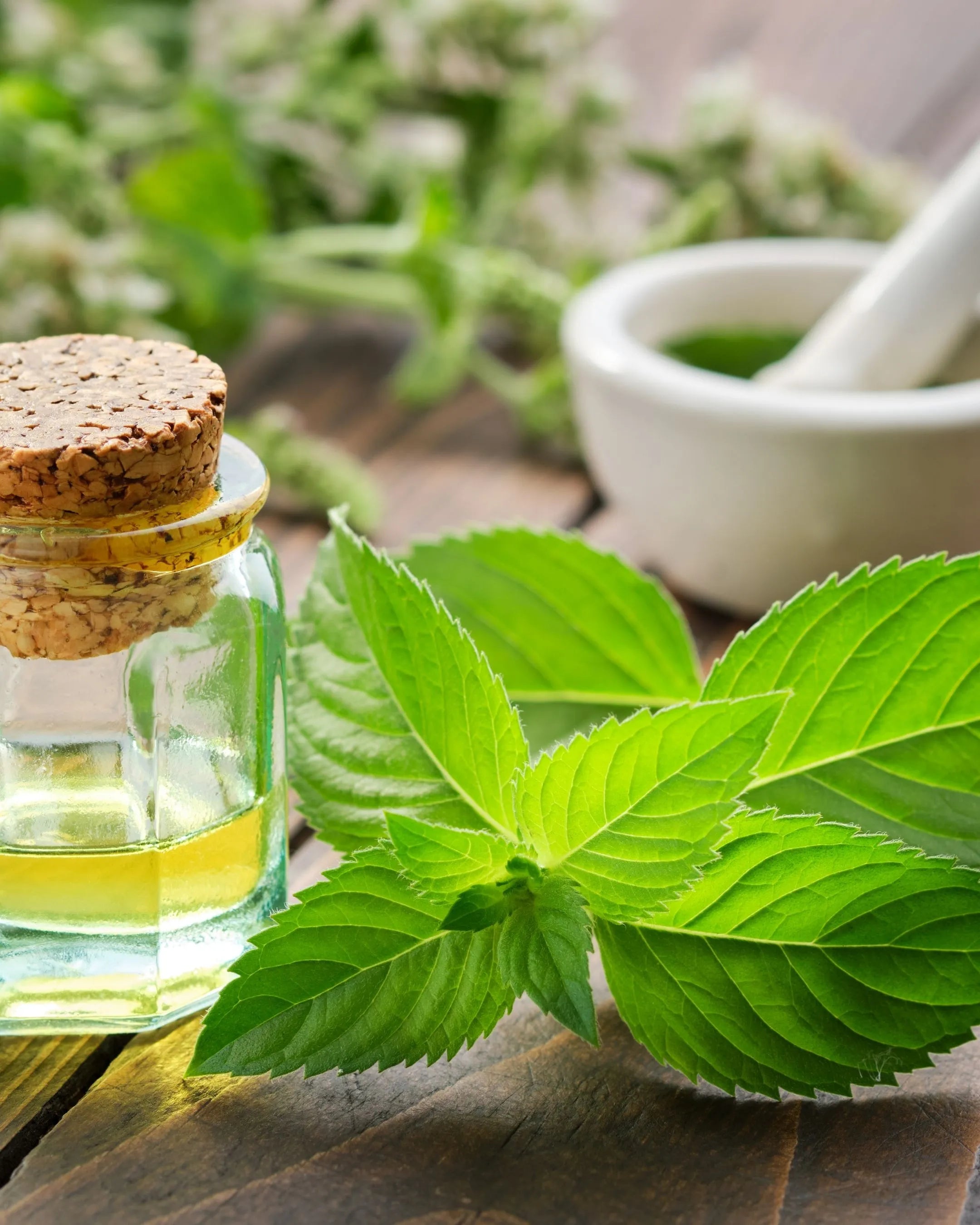 The Power of Neem and Manjistha for Skin: The Science Inside SKINESSA