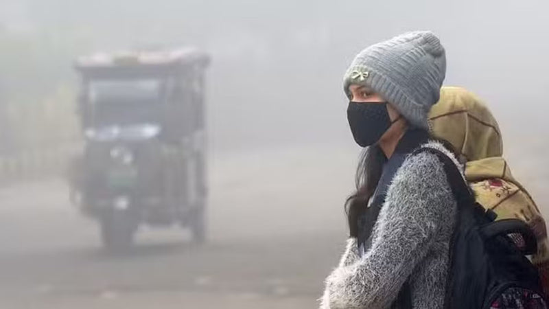 Best Winter Foods India 2025: Boost Immunity & Stay Healthy Naturally