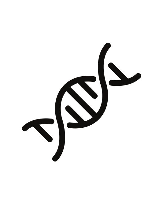 Longevity | Vitality | Rejuvenation