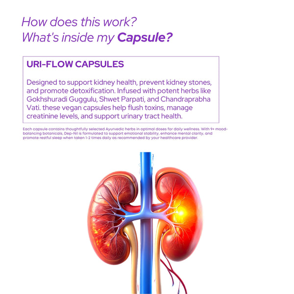 यूरी-फ्लो कैप्सूल | शाकाहारी कैप्सूल | किडनी को डिटॉक्सीफाई करें | पथरी को खत्म करें |