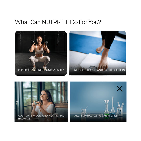 Nutri-Fit Powder | 100 Gm | Energiser | Vitality | Musclegainer | Rejuvenating | 100GM