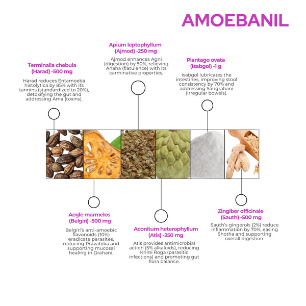 Amoeba-NIL Powder | Ayurvedic Powder Safe & Effective Laxative Powder | 100GM