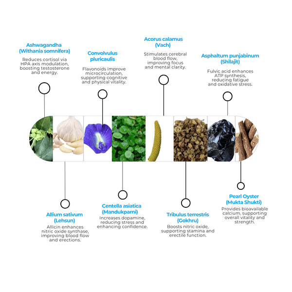 Yuva Capsules | Vegan Capsules | Provide Vitalility and Stamina