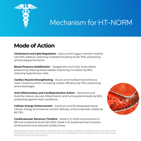 HT- Norm Capsules | Vegan Capsules | Blood Pressure | Cholesterol