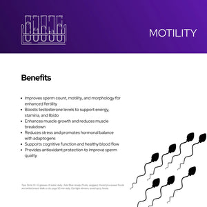 Motility - Supercharge Male Fertility, Testosterone & Vitality | Enhanced Sperm Count, Motility, Energy, Stamina & Libido