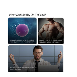 Motility - Supercharge Male Fertility, Testosterone & Vitality | Enhanced Sperm Count, Motility, Energy, Stamina & Libido