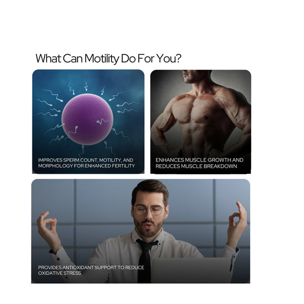 Motility - Supercharge Male Fertility, Testosterone & Vitality | Enhanced Sperm Count, Motility, Energy, Stamina & Libido