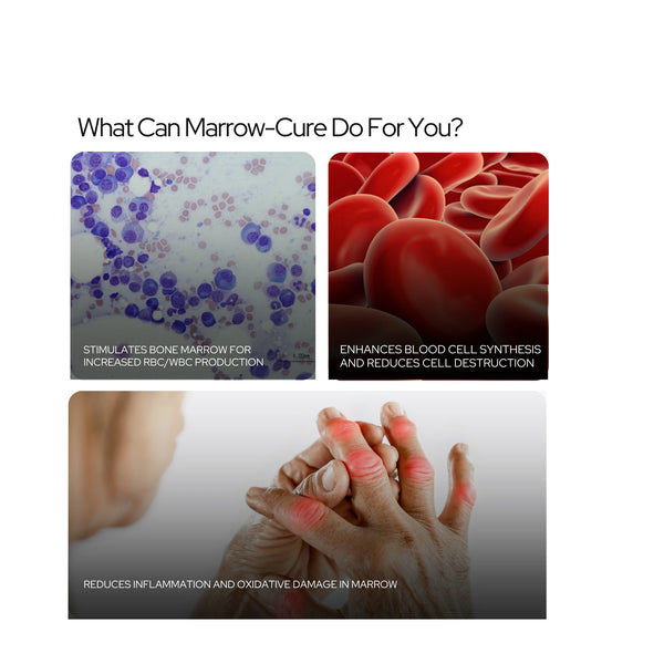 Marrowcure | Applastic Anaemia | Immune Thrombocytopenic Purpura-Aid | Vegan Capsules