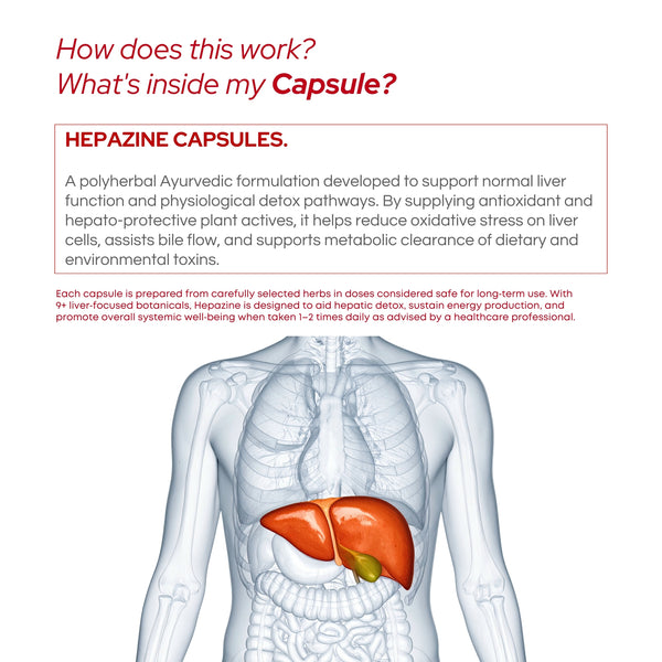 हेपाज़िन लिवर डिटॉक्स 10+ एक्सट्रेक्ट के साथ | वेज कैप्सूल | फैटी लिवर के डिटॉक्सिफिकेशन के लिए | पुरुषों और महिलाओं दोनों के लिए