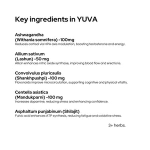 Yuva Capsules | Vegan Capsules | Provide Vitalility and Stamina