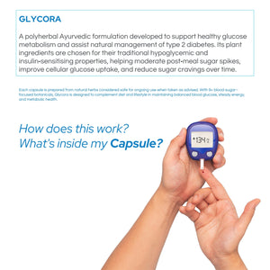 Infographic showing GLYCORA herbal ingredients for insulin support and metabolic health.
