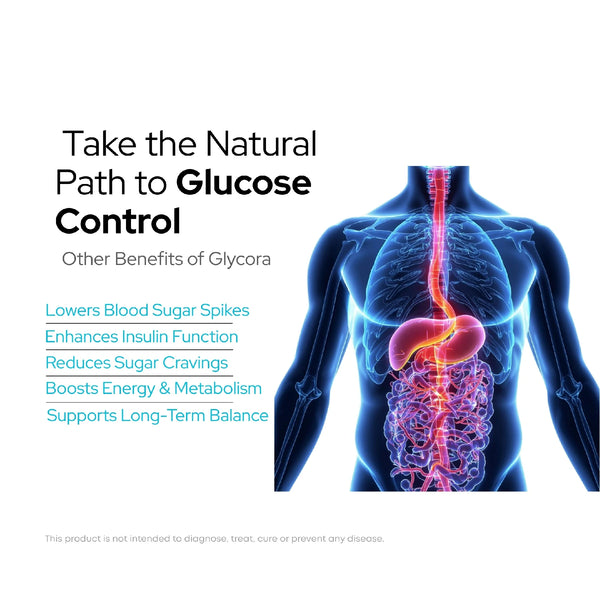 Infographic showing GLYCORA herbal ingredients for insulin support and metabolic health.