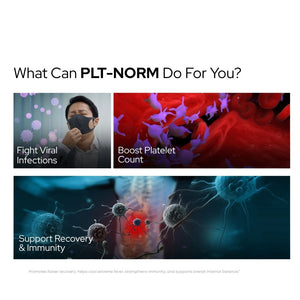 PLT NORM® | Promotes Fast Recovery from Dengue & Platelet Booster Supplement | Papaya Leaf Free
