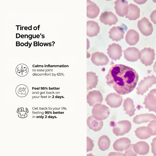 पीएलटी नॉर्म डेंगू कैप्सूल - प्लेटलेट बढ़ाने के लिए सर्वश्रेष्ठ आयुर्वेदिक दवा, ट्रांसफ्यूजन की आवश्यकता नहीं