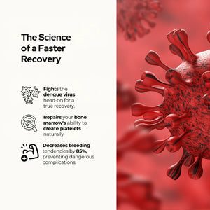 पीएलटी नॉर्म डेंगू कैप्सूल - प्लेटलेट बढ़ाने के लिए सर्वश्रेष्ठ आयुर्वेदिक दवा, ट्रांसफ्यूजन की आवश्यकता नहीं