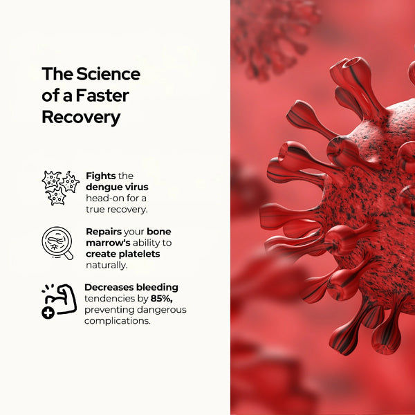 पीएलटी नॉर्म डेंगू कैप्सूल - प्लेटलेट बढ़ाने के लिए सर्वश्रेष्ठ आयुर्वेदिक दवा, ट्रांसफ्यूजन की आवश्यकता नहीं