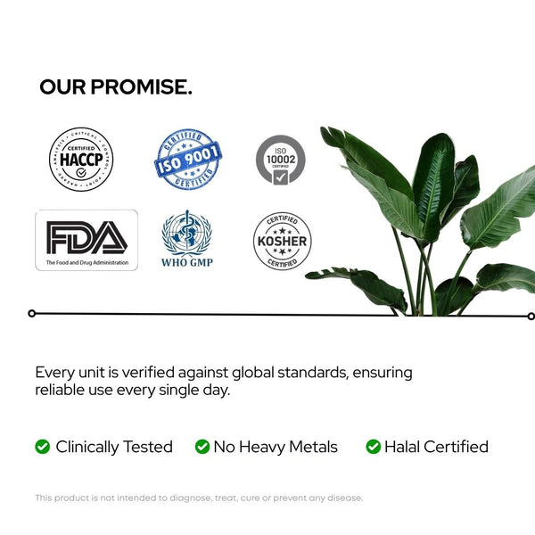 Yuva Capsules certifications — AYUSH Ministry certified, WHO-GMP, ISO, HACCP — 100% vegan Ayurvedic supplement India